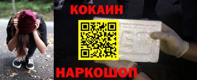индика Гусев